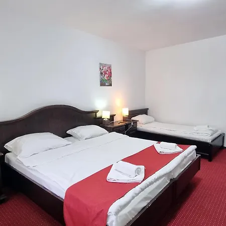 Pensiunea Casa Pescarului 3*