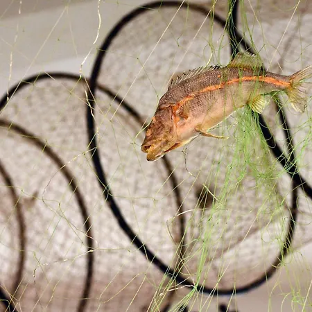 Pensiunea Casa Pescarului